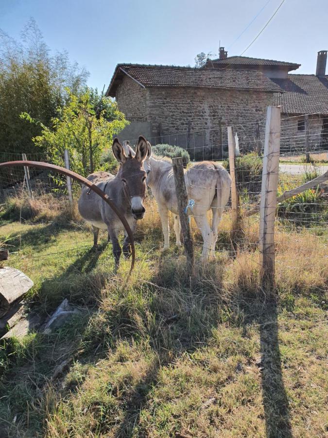 Vila Les Figuets Chateauneuf-de-Galaure Exteriér fotografie